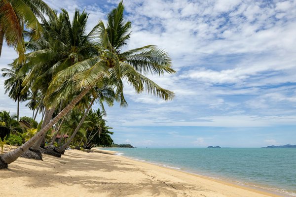 Séjours Prolongés : Astuces Pour Dénicher les Offres Imbattables