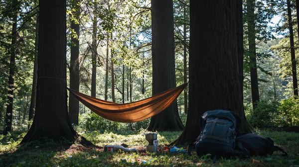 Guide pratique pour un camping écoresponsable en pleine nature